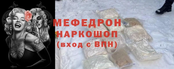 крисы Коряжма