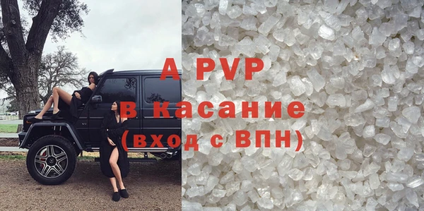 крисы Коряжма