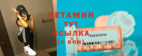 крисы Коряжма