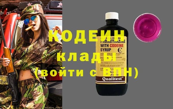 крисы Коряжма