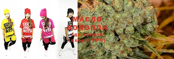крисы Коряжма