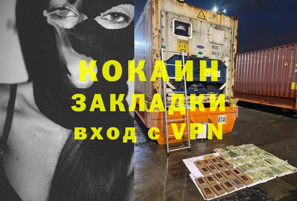 крисы Коряжма